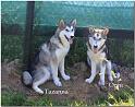 Tazanna 7-2010 5